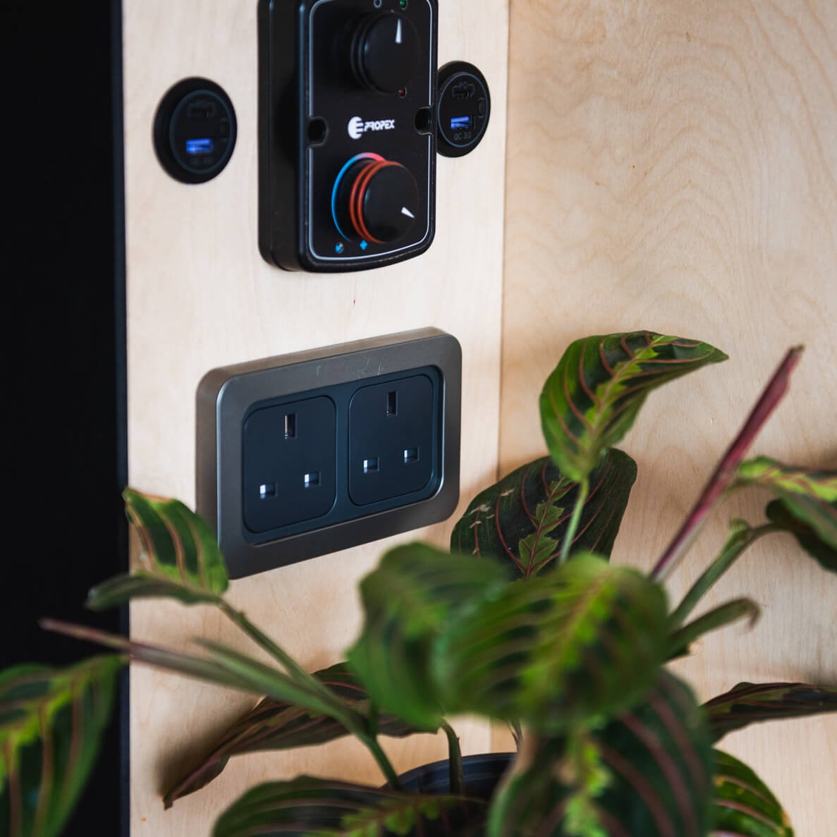 Line Socket Store Display C-Line Sockets - nohma.com, campervan electrics ⚡
