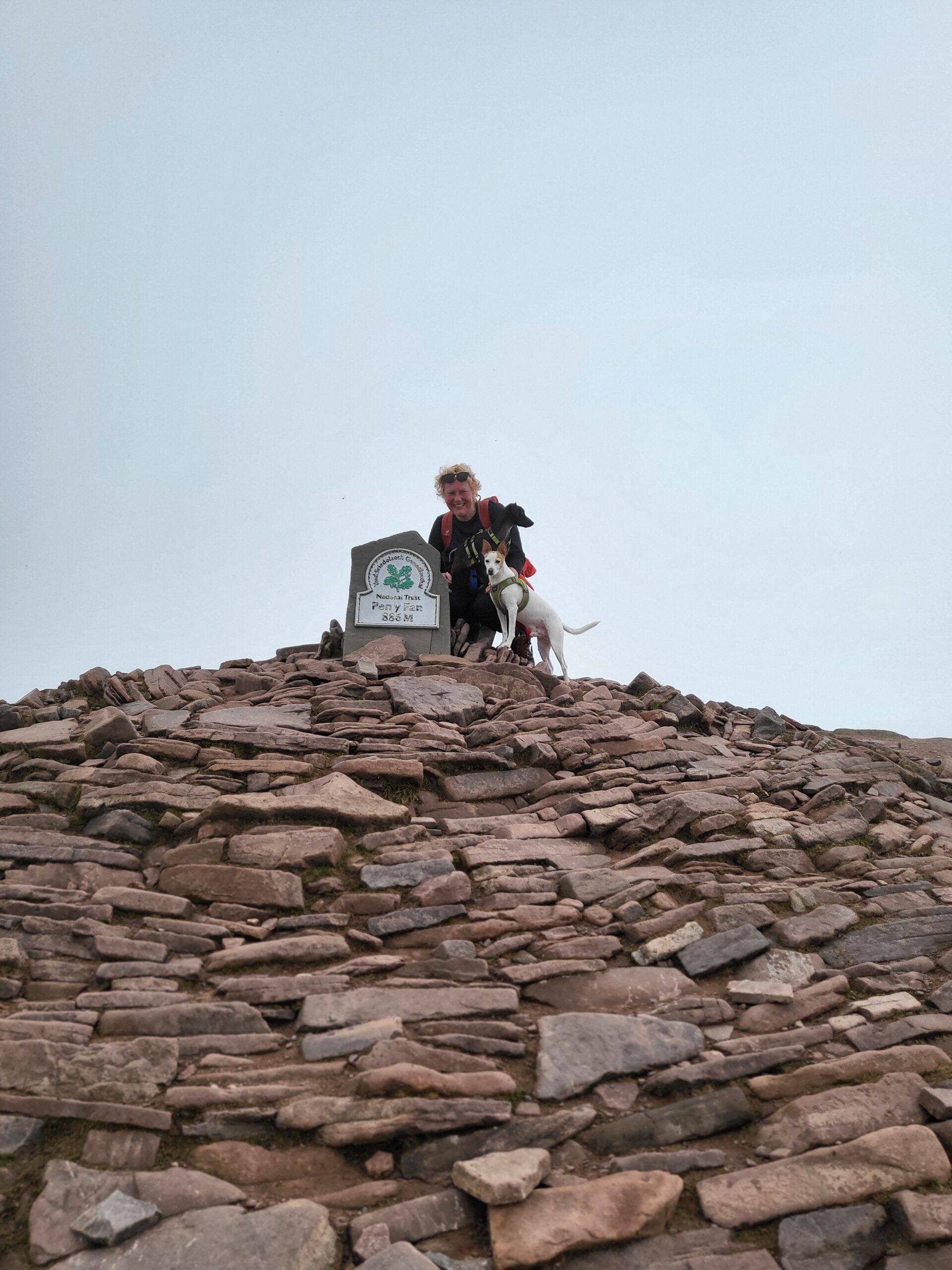 Martina with her dogs Steve and Ping at the peak of Pen Y Fan in South Wales