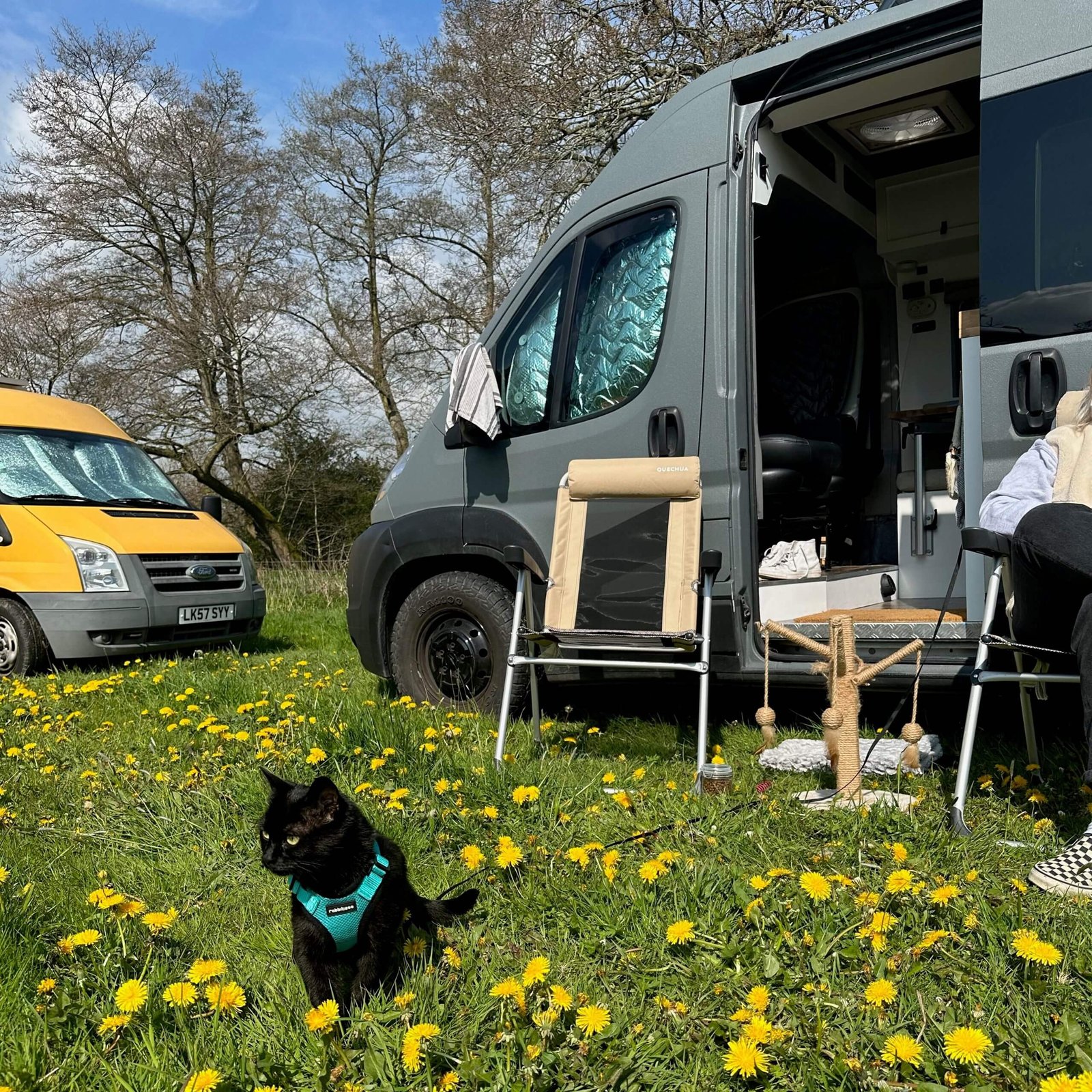 a grey and yellow van parked up on a meadow with dandelion with the sliding door of the grey van open, two camping chairs, a cat tree and a black cat in a turquoise harness in front